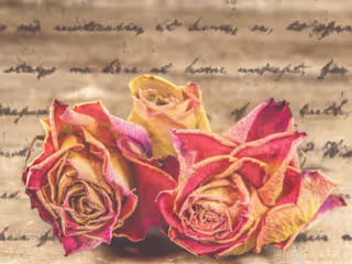 Romanticism: A Journey to the Romantic Period