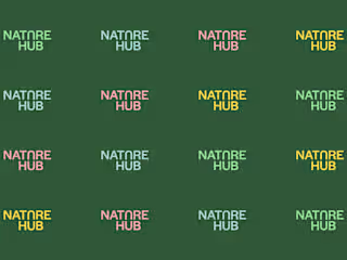 Nature Hub Visual Identity