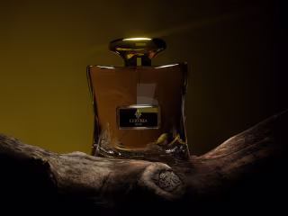 3D perfume Promotional video | Behance