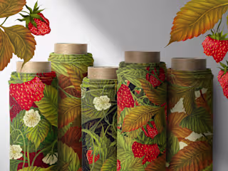 Reine Des Belges (Strawberry Field Print Design)