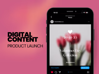 Valentine's Day Product Launch