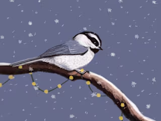 Chickadee Christmas Card