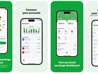 Benji - Your Earning Dashboard