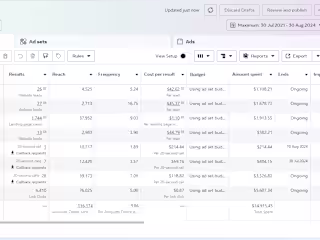 Meta Ads Performance For Finance & Credit
