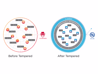 Tempered Networks Infographics for Site Launch