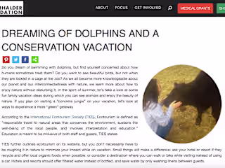 IS Foundation: Ecotourism 