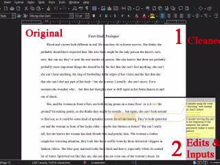 Editing With Critique