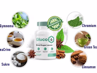 Gluco6: [TOP 5 Reasons!] Why We're Your Best Choice?