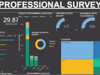 Interactive Data Visualization Dashboard for Stakeholders
