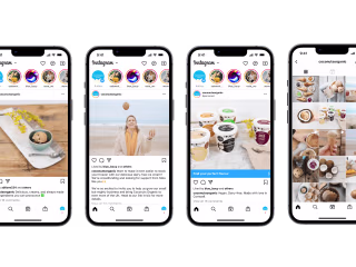 Coconuts Organic: Content & Brand Strategy