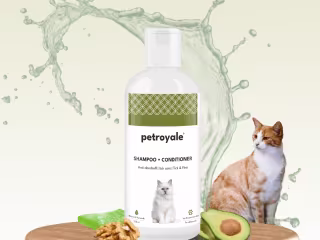 Amazon product front image
