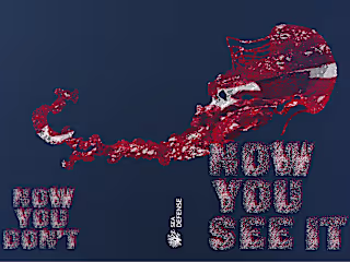 Book ‘Now You See It‘
