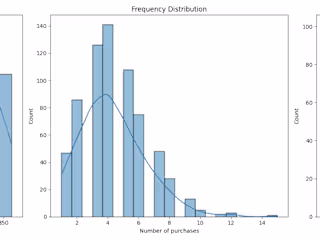 WalidBenzineb/E-commerce-Data-Analysis-