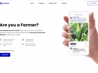 Stunning home page animation