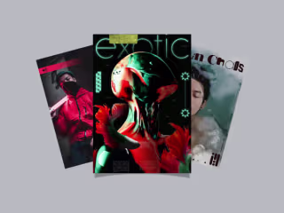 I will design a premium poster of any style