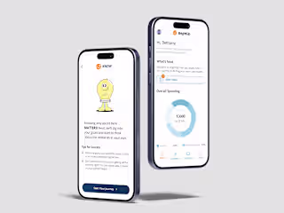 Financial Wellness App for Empowering Users with Accessible Tool