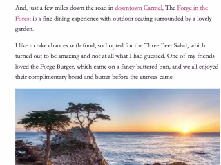 Guest Writer (Travel Blog)