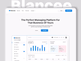 A B2C SaaS Landing Page 