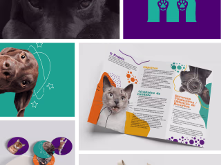 Visual identity - Projeto Mi Au (fictitious)
