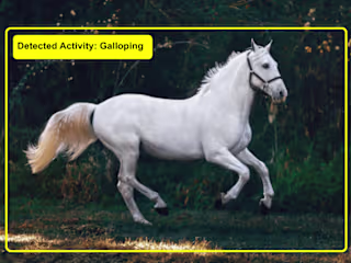 Animal AI : Assessing Animal Fitness using AI