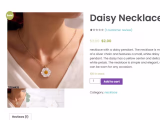 Affiliate website