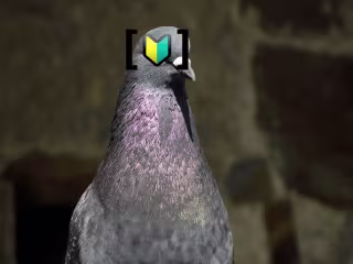 Columbidae!