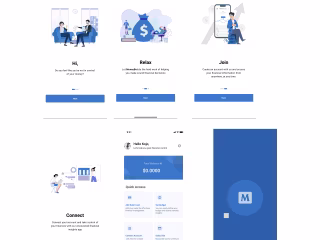 Money Bot- Managing your Income and Expenses better