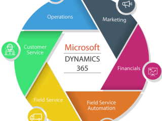 MICROSOFT DYNAMICS CRM SUCCESSFUL PROJECTS