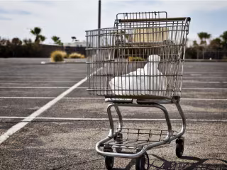 [BLOG] Shopping Cart Abandonment Solutions That Really Work