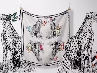 Hand-Painted Scarf Designs