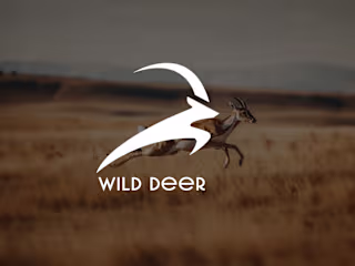 Minimalist logo design :: Behance