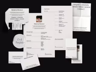 Cv & Portfolio 2022