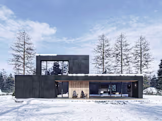 CS House - Architectural Conceptualization & Rendering