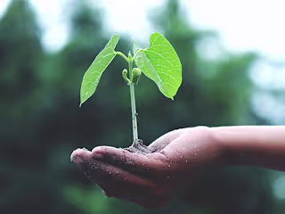Eco-Actions: Their Unknown Virtues