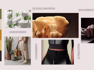 Moodboard - Mushrooms in Fashion