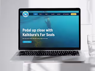 Seal Kayak Kaikōura