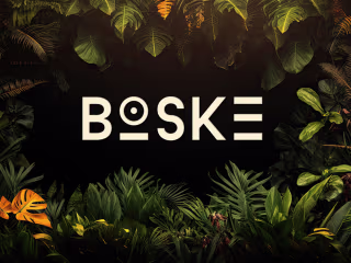 BOSKE SOCIAL MEDIA POSTS