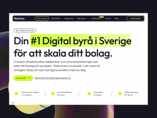 Netsius (Branding + CMS Website + Automations)