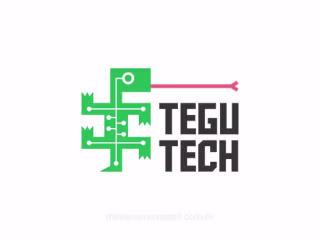Logo for Tegu Tech