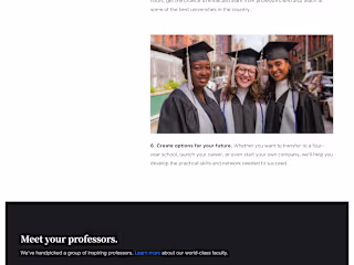 Online College For The Future (Bubble.io)