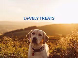 Brand identity for Lovely Treats