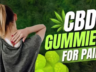 EverGreen Farms CBD Gummies (Consumer Reports, Price Scam)