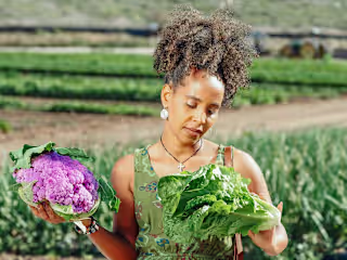 Compilation of Black and Indigenous-led Collectives
