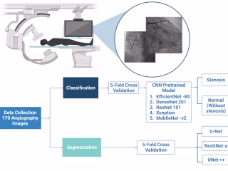 170 Angiograph images classification & segmentation illustration