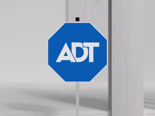 ADT Google M1-5 Sizzle