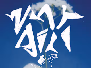 Why girl - Album cover