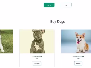 E-commerce Website - Project Showcase
