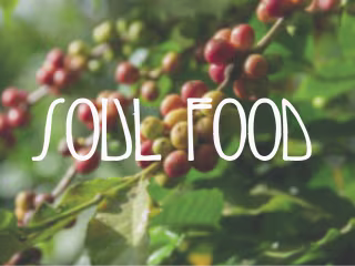 SOUL FOOD on Behance