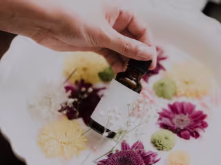 Nature's Pharmacy: Exploring Medicinal Plants' Healing Powers