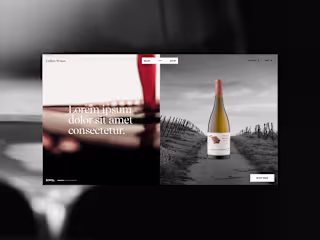 Online Store Design for a Wine Company
